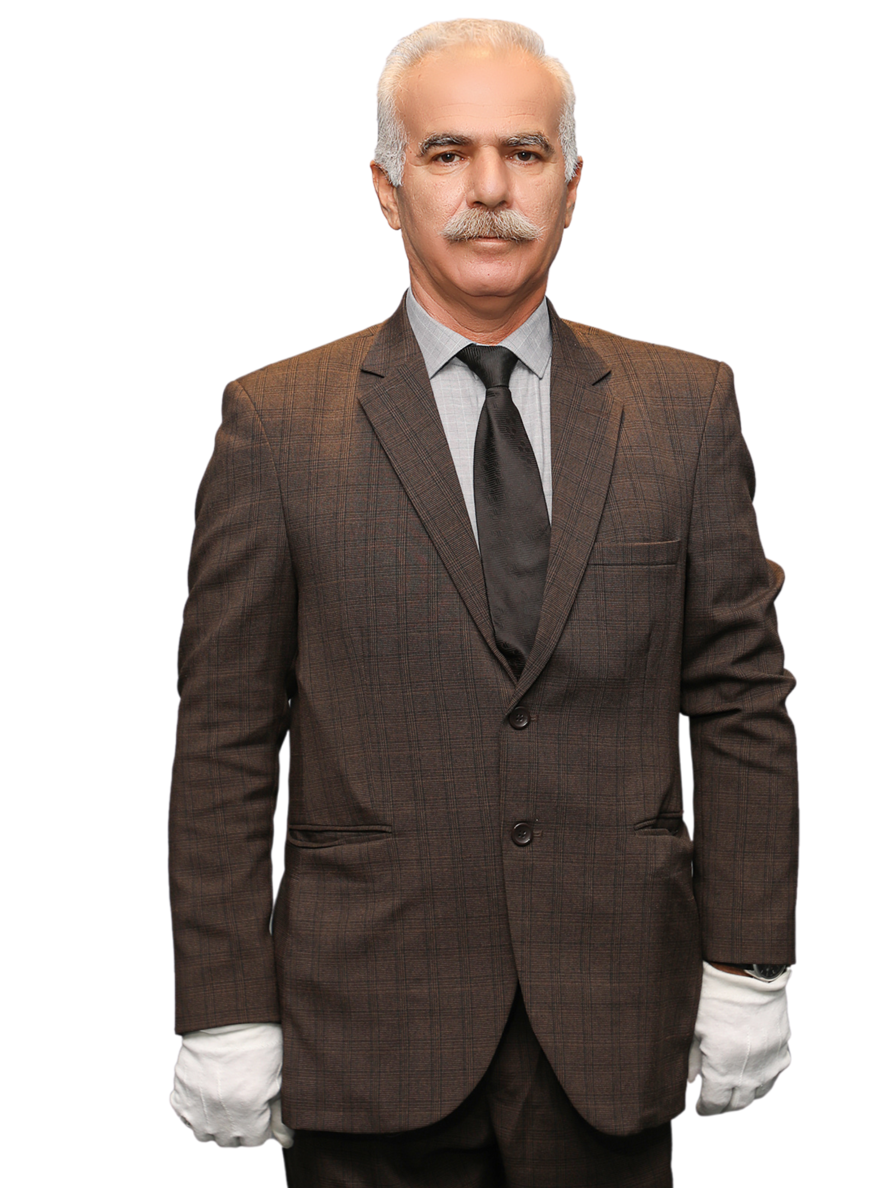 هادی هدایتی